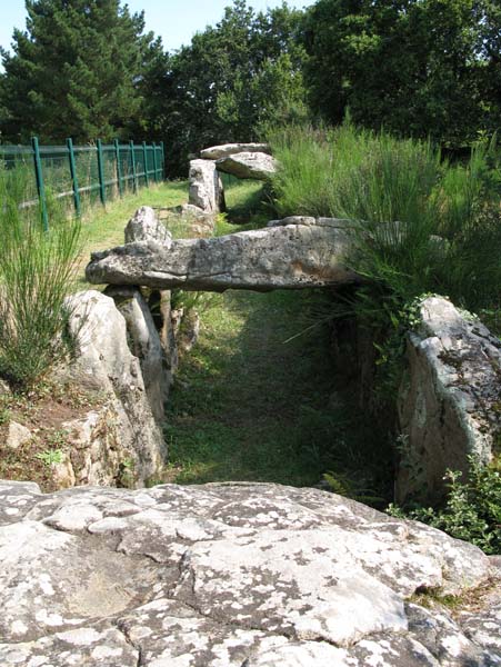 All&eacute;e Couverte de Man&eacute; Roullarde